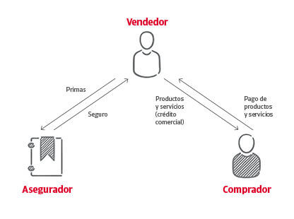 Infografía del Seguro de Crédito