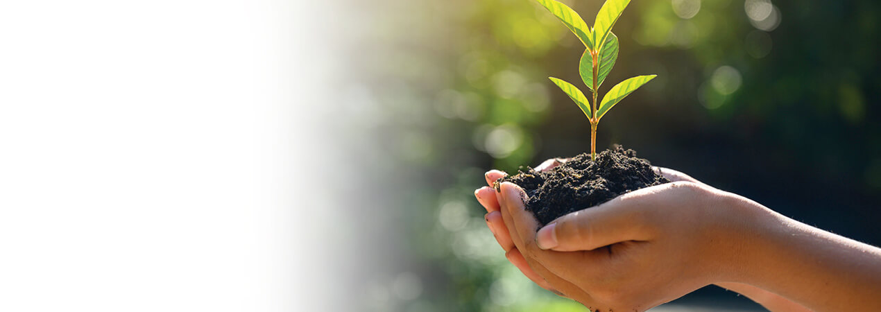 Seguro de Crédito para Empresas - Apólice Start