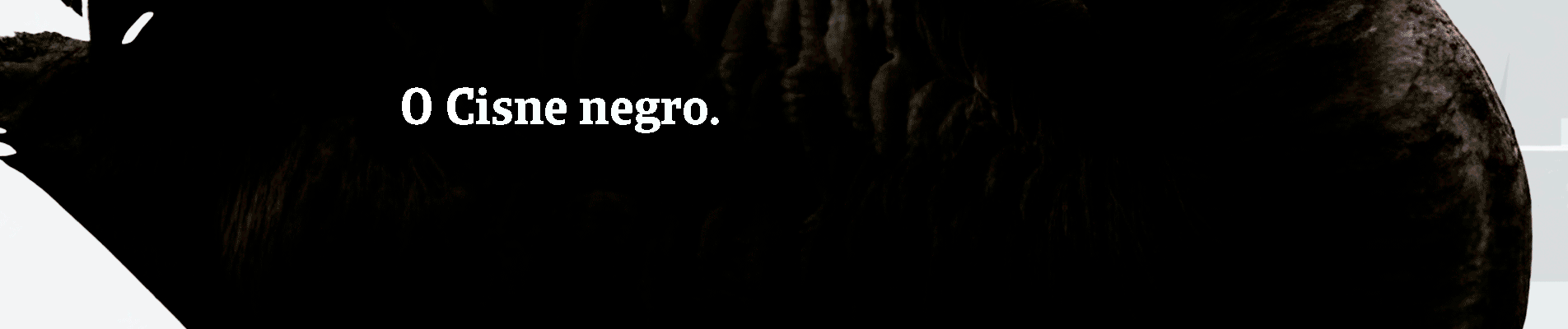 O Cisne negro. Evento imprevisível de impacto massivo. Como um incumprimento