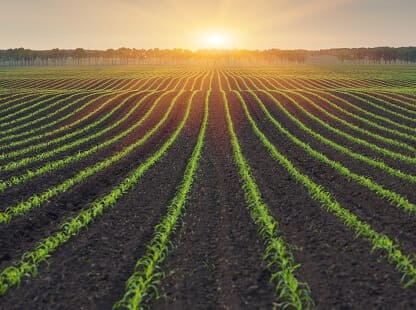 Seguros de Caución para el Fondo Español de Garantía Agraria - FEGA